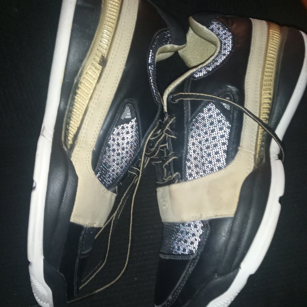 Adidas ts Lightswitch (Gilbert arenas)